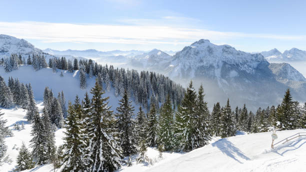 istock Top of the Alps 1298273610