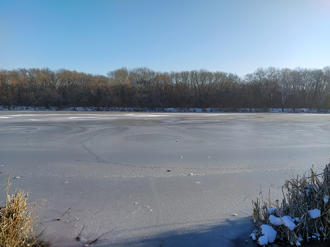 Snow covered trees, tall grass and lake in winter. Beautiful sunny winter day on a lake.