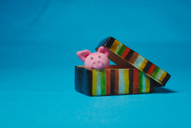 pink pig comes out of colored box