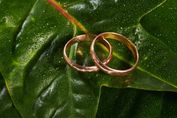 istock Wedding rings on a beautiful wet leaf background 1298278243