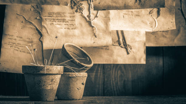 istock Strange herbal laboratory with dried herbs, flowers and empty pots 1298278560