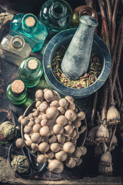istock Strange herbal laboratory with ingredients and herbs 1298278798