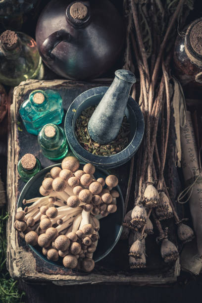 istock Top view of herbal laboratory with ingredients and herbs 1298278814