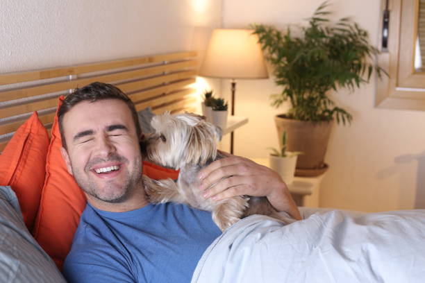 istock Cute dog licking owner in bed 1298279905