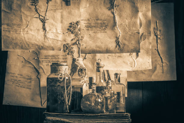 istock Herbal workshop with dried cards, plant descriptions and tincture 1298280475