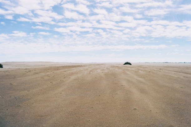 istock Lonely dunes in the Ebro delta, Tarragona, Spain. 1298280499