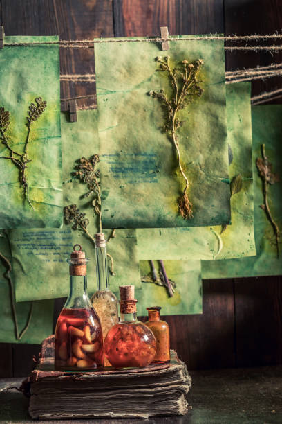 istock Creepy and strange herbal workshop with dried herbs and flowers 1298280922