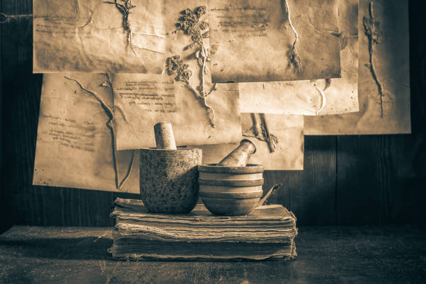 Strange herbal workshop with dried flowers and herbs