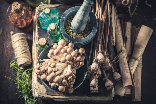 istock Odd herbal laboratory with ingredients and herbs 1298282060