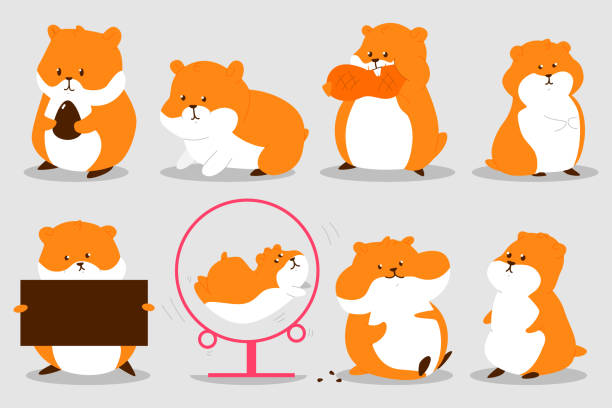 2,350 Funny Hamster Illustrations & Clip Art - iStock | Funny elephant,  Funny cat, Funny animals