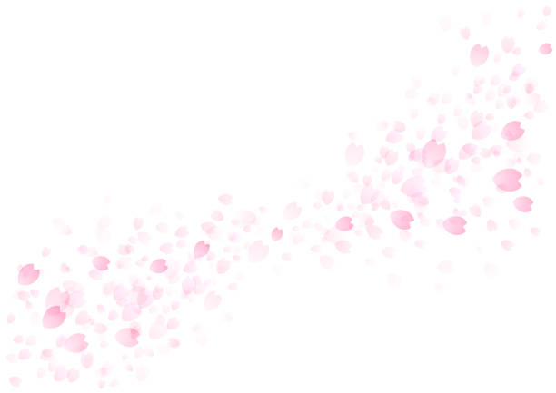 美しい桜の背景、フレーム - 桜吹雪点のイラスト素材／クリップアート素材／マンガ素材／アイコン素材