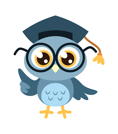 Cartoon owl. Cute clever bird with glasses and hat, funny joyful gray colored animal, knowledge and learning mascot, wisdom symbol child print or sticker flat isolated on white background illustration