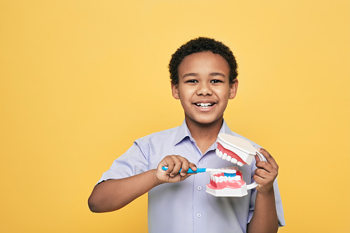Sonriente niño afroamericano que muestra cómo cepillarse los dientes correctamente usando un modelo anatómico de mandíbula y un cepillo de dientes. Aislado en amarillo photo