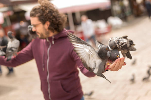 istock Man feeding pigeons on city square while traveling on vacation 1298299841