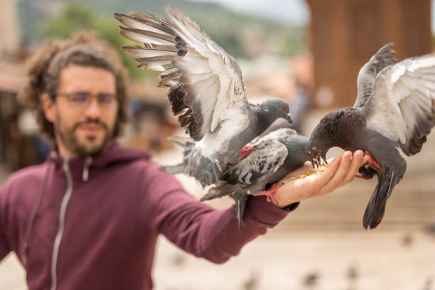 istock Man feeding pigeons on city square 1298299853