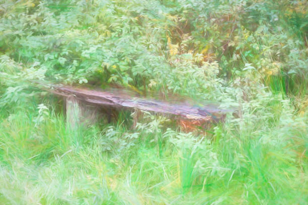 Park bench being overgrown with brambles. This image is heavily post processed to give a painterly effect.