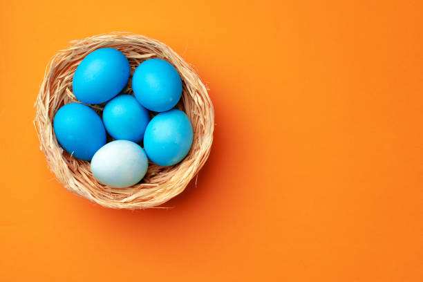 istock Easter eggs in a nest on orange background 1298302952