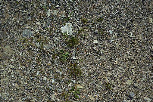 Texture of a stone ground