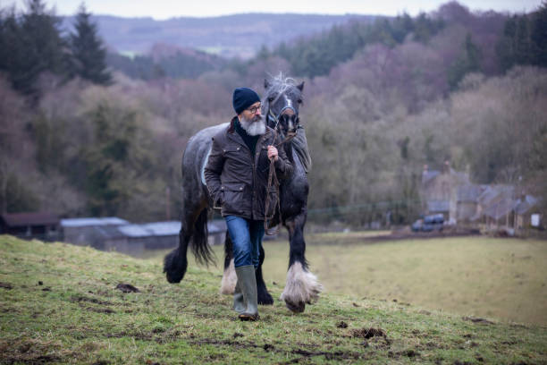 istock A Walk in the Country 1298306009