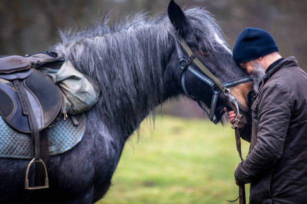 istock Embracing My Horse 1298306015