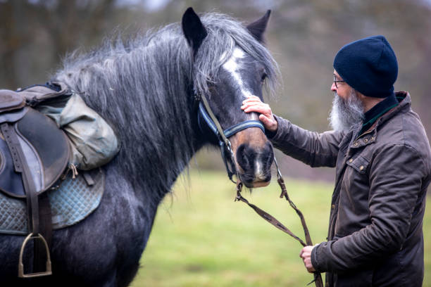istock Stroking the Horse 1298306910