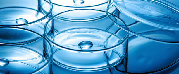 istock Clean glass petri dish with liquid drop inside over blue light background 1298308084