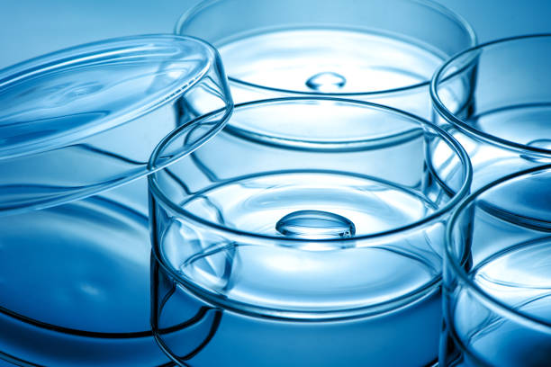 istock Clean glass petri dish with liquid drop inside over blue light background 1298308129