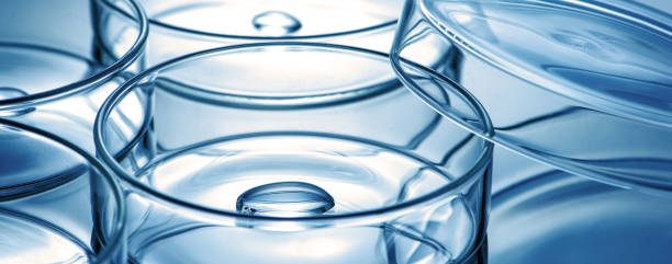 istock Clean glass petri dish with liquid drop inside over blue light background 1298308584