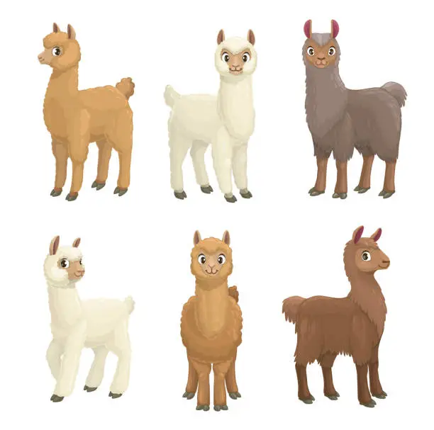 Vector illustration of Lama, alpaca, guanaco, llama and vicuna animals