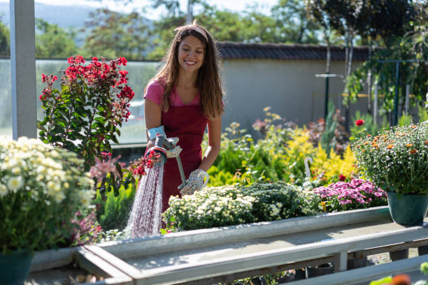 istock Young florist watering the flower pots 1298314243