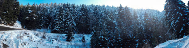 istock Hairpin Curve with trees at winter 1298314532