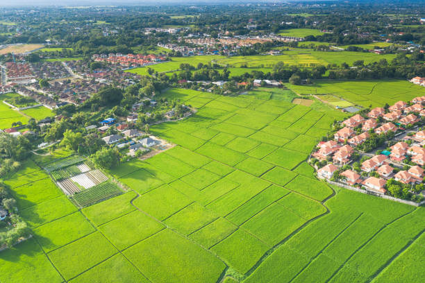 istock Aerial of housing subdivision or development. 1298314706