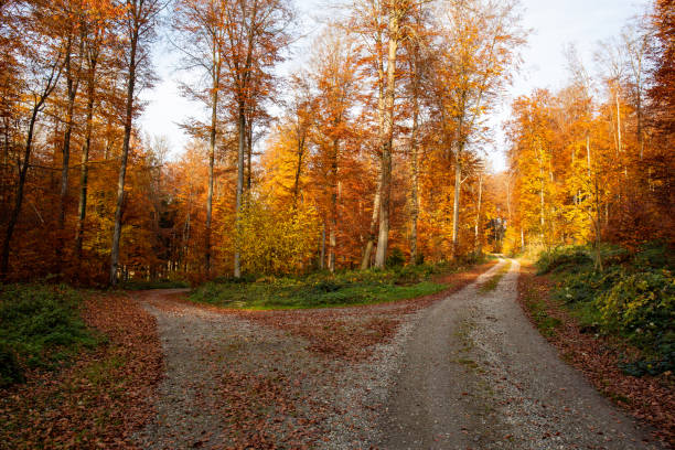 Upper Swabia