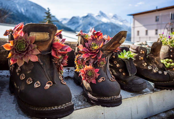 Switzerland country