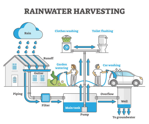 3,392 Rainwater Harvesting Illustrations & Clip Art - iStock | Rainwater  harvesting warehouse, Rainwater harvesting tank, Rainwater harvesting barrel