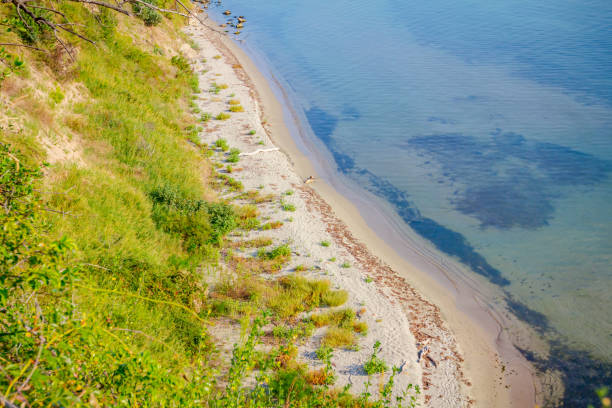 istock Beautiful shallow sea with vegetation around bay 1298321779