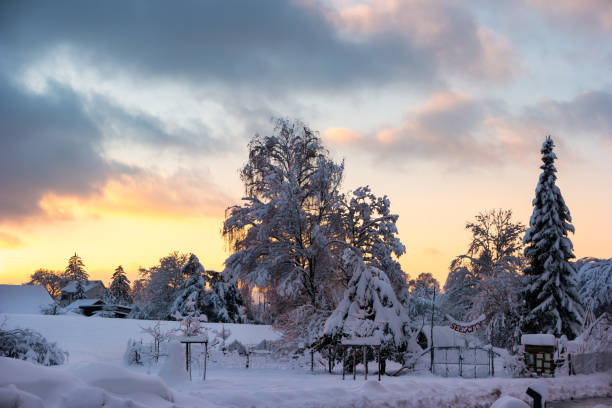 istock Winter wonderland forest scene after record high heavy snowfall in Switzerland with dramatic sun set 1298322802