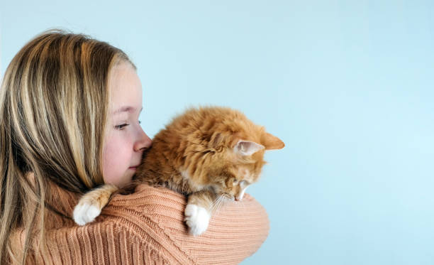 istock Girl holds her cat on shoulder on blue background. Copy space. Banner 1298324738