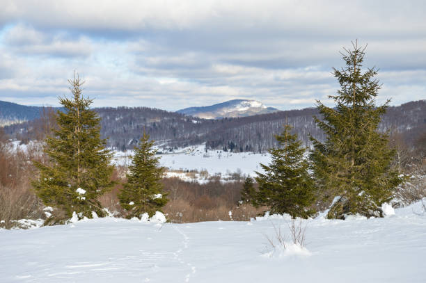 istock Beautiful winter landscape at Gorski kotar 1298326598