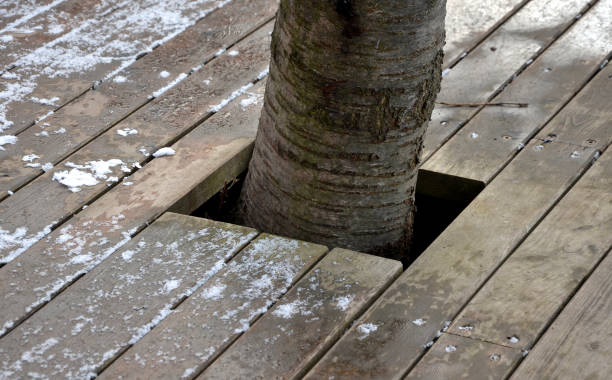 posti a sedere in legno con panchine rivestite in legno naturale nei boschi vicino all'acqua. terrazza sul ponte vicino allo stagno. tutto è un pezzo con articolazioni in inverno con un albero di neve nel buco del palco - non urban scene landscaped winter snow foto e immagini stock