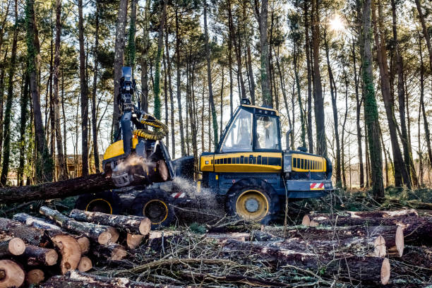 istock machine for cutting tree trunks used in the forestry industry 1298329626