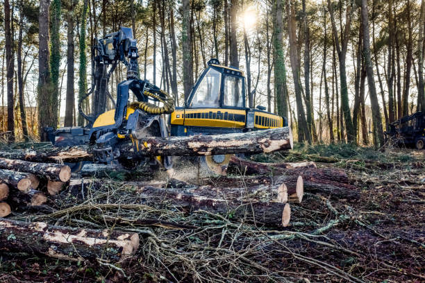 istock machine for cutting tree trunks used in the forestry industry 1298331834