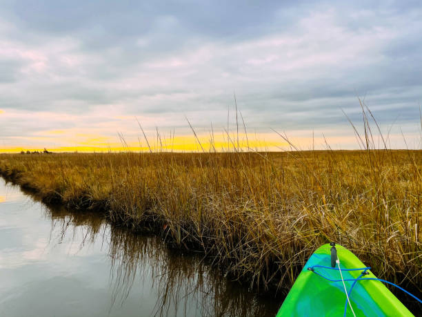 kayak boat with green grass and wetlands in the background