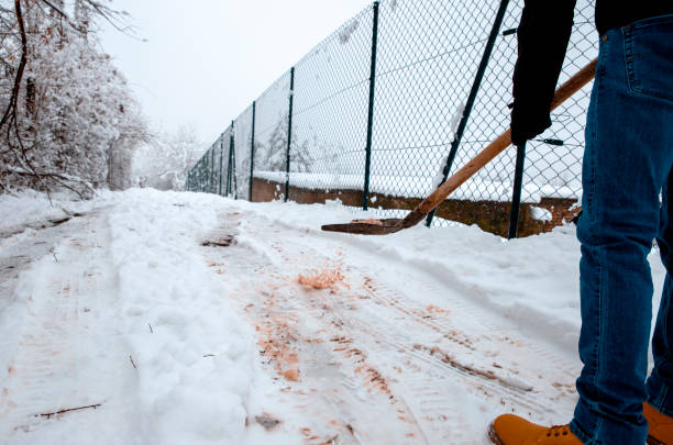 Man put salt on snowy driveway to protect car and people from slippery. Applying Rock Salt ( Gritting ) to an Icy Path