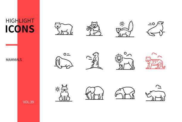 不同的哺乳動物 - 現代線條設計風格圖示集 - skunk 幅插畫檔、美工圖案、卡通及圖標