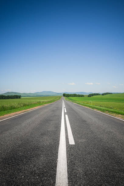 istock An asphalt road among meadows with mountains on the horizon. 1298343112