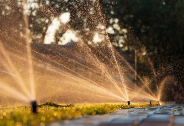 istock Automatic sprinkler system watering the lawn at sunset. 1298347519