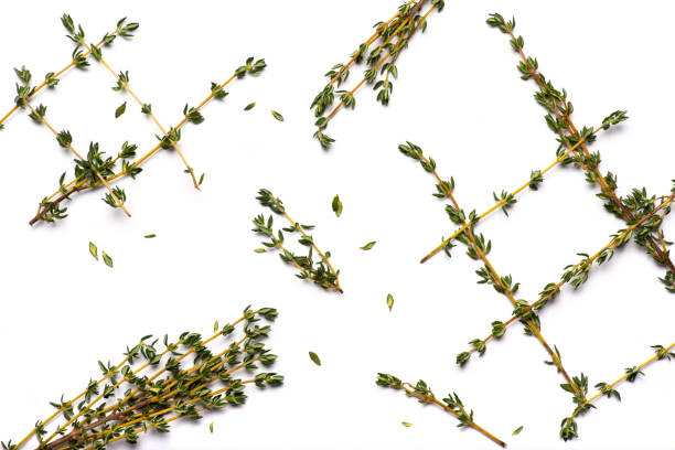 istock Fresh garden Thyme herb on white background 1298350993