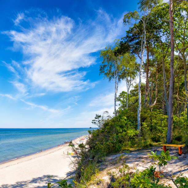 istock Vacations in Poland - Baltic seashore in Pobierowo 1298351061