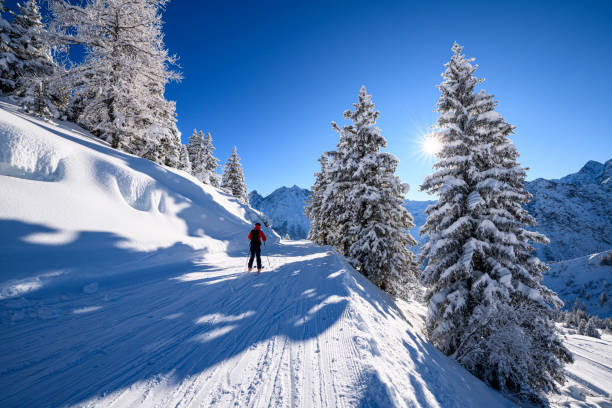istock Snowcapped trees in ski resort 1298355584